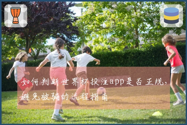 如何判断世界杯投注app是否正规,避免被骗的流程指南