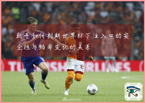 新手如何判断世界杯下注入口的安全性与赔率变化的关系
