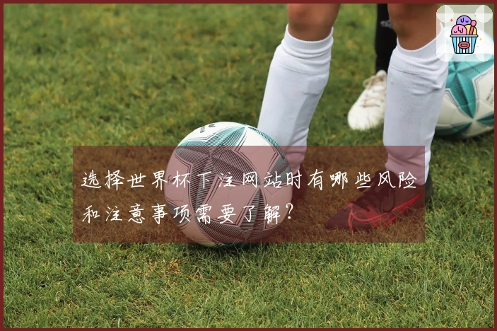 选择世界杯下注网站时有哪些风险和注意事项需要了解？