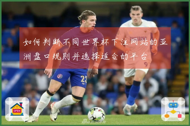 如何判断不同世界杯下注网站的亚洲盘口规则并选择适合的平台