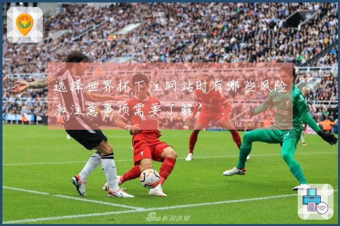 选择世界杯下注网站时有哪些风险和注意事项需要了解？